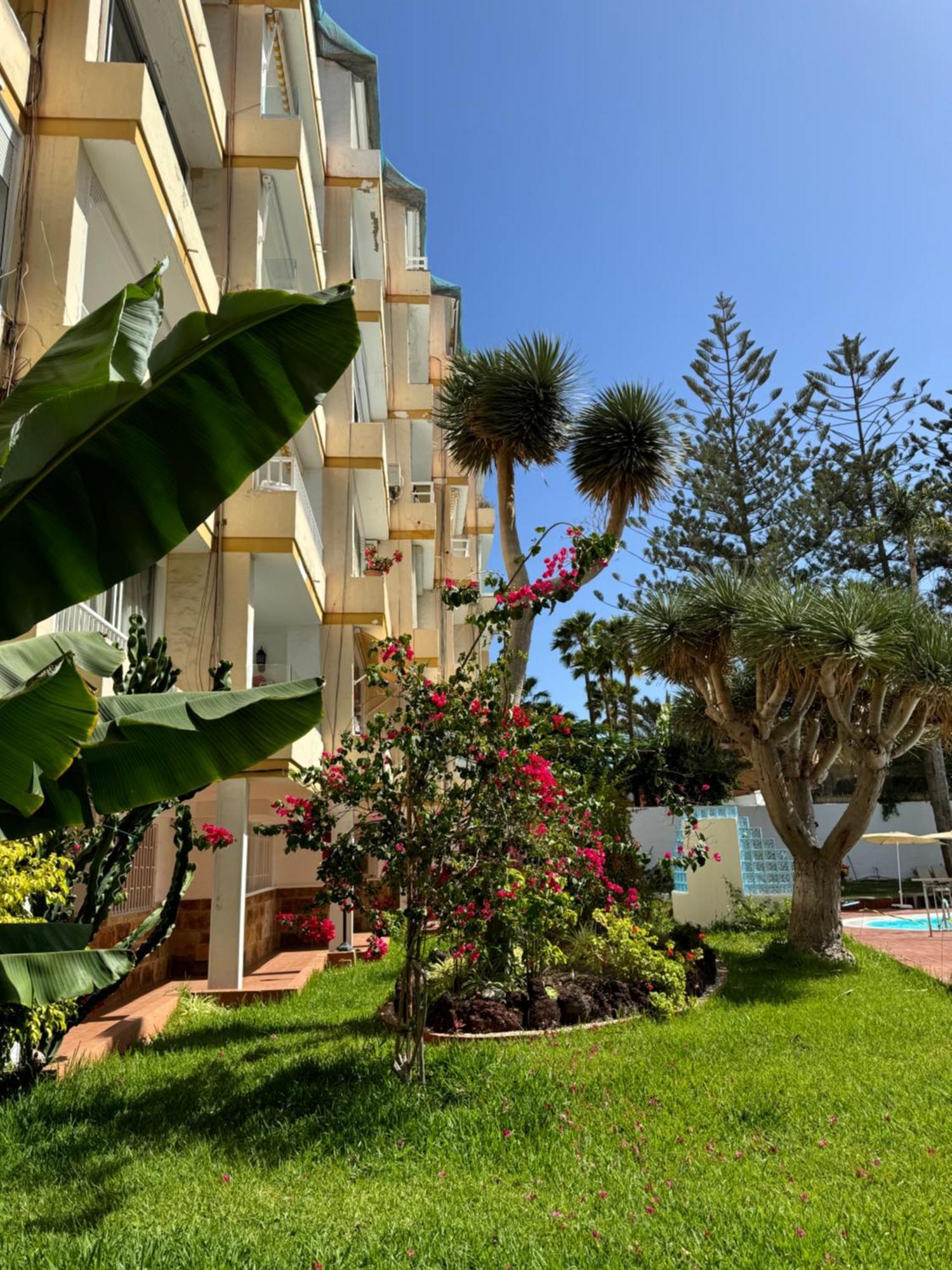 Apartamento Reformado En Apartamentos Tanife, Playa Del Ingles San Bartolomé Exterior foto